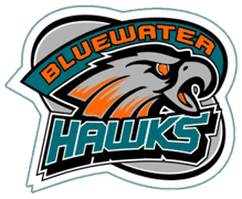 Bluewater Hawks Girls Hockey Association