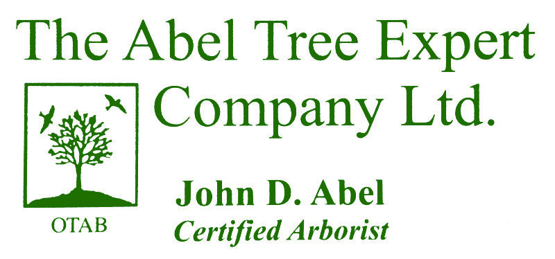 Abel Tree Experts