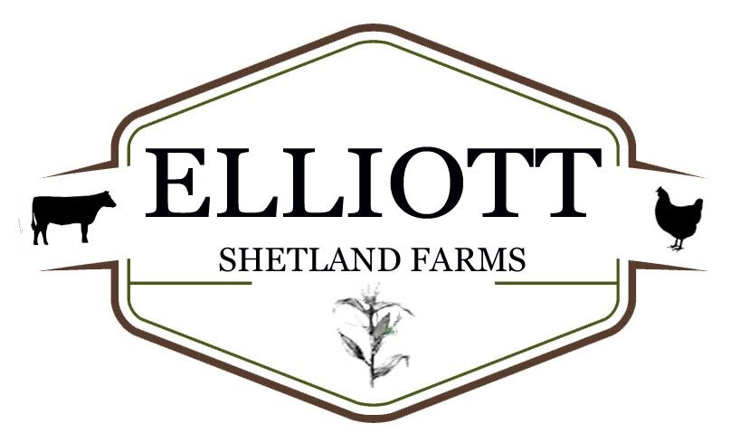 G. Gold Sponsor: Elliott Shetland Farms